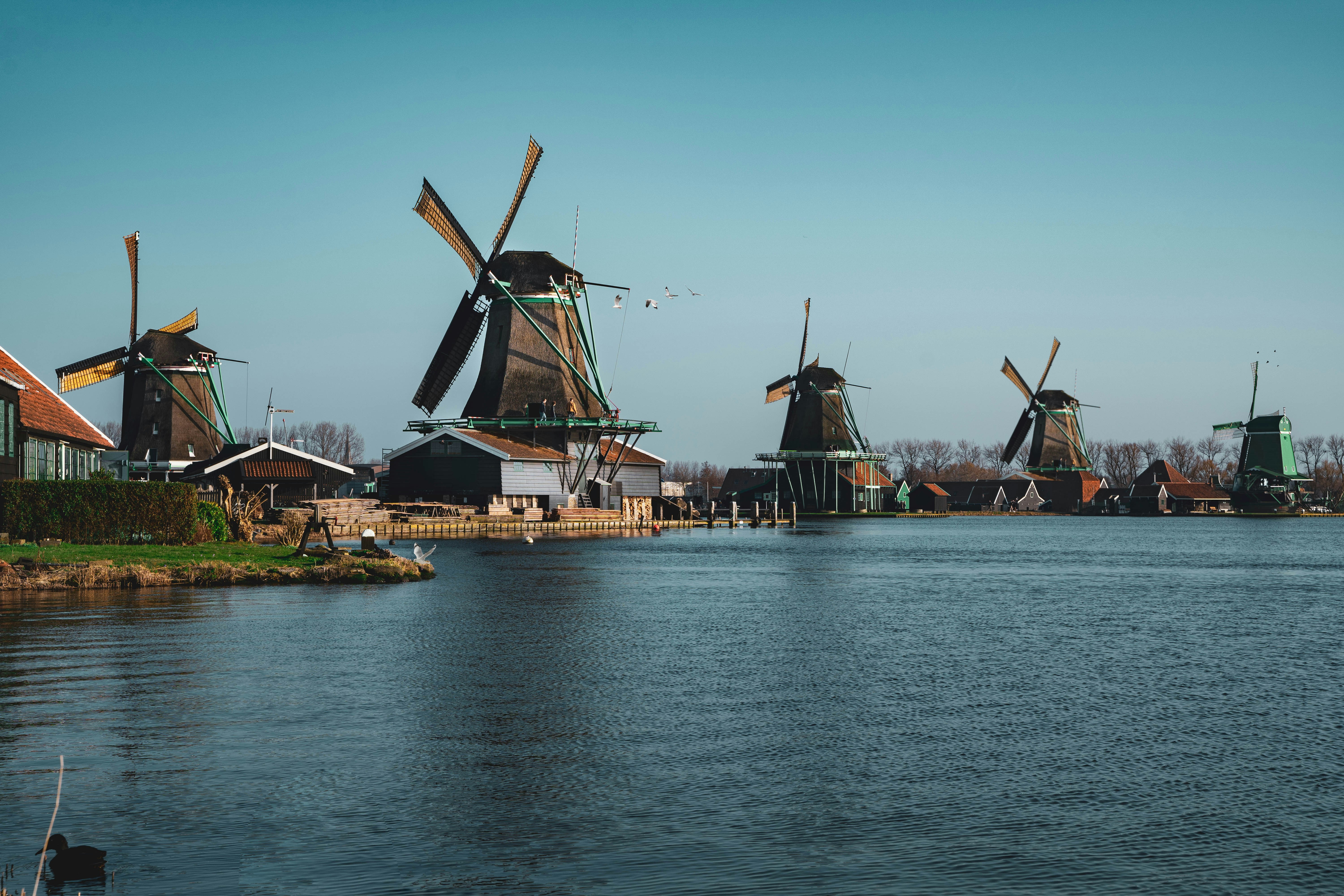Traditional Dutch windmills in Zaanse Schans.